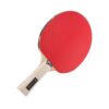 Reket Za Stoni Tenis Martes Gigant